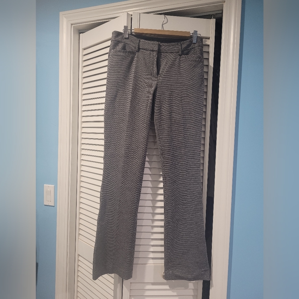 Express Dress Pants